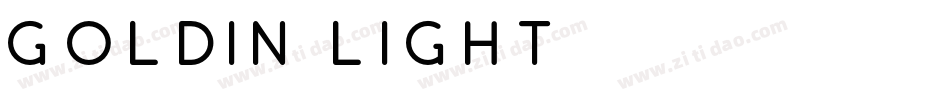 Goldin Light字体转换